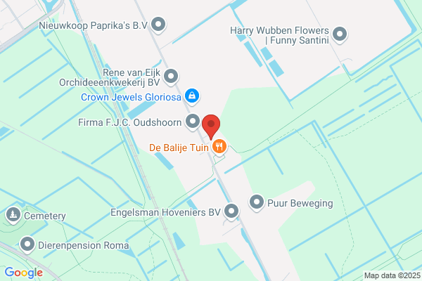 Cv Van Adrichem