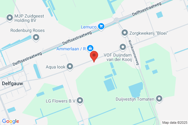 Erik vd Berg Hoveniersbedrijf