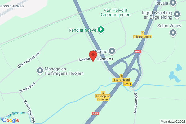 J.J.F.M. Van Dooren-Smulders