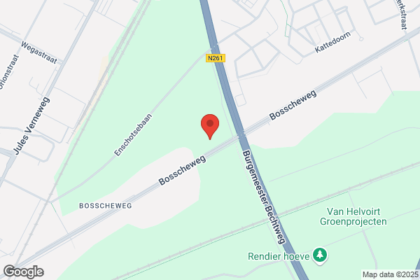 Hans Op Den Buijsch