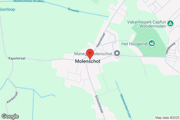 Lindebloesem