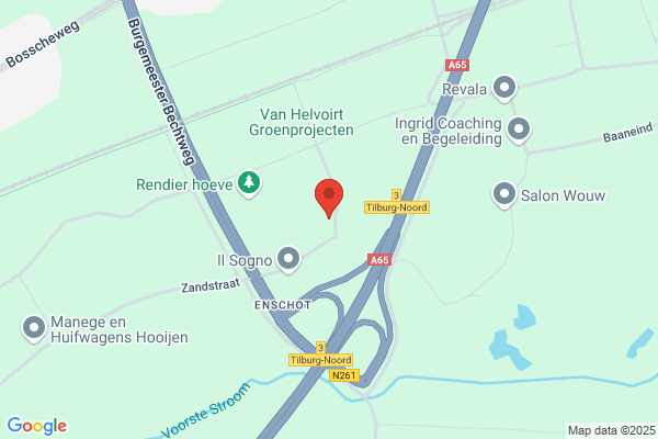 Broek, Dorus Van Den
