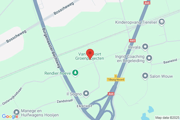 Firma M. Reijnen En Zoon