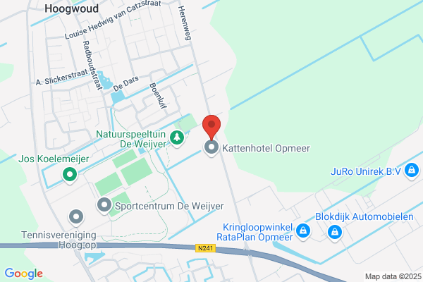 Kooy, Timmerbedrijf C