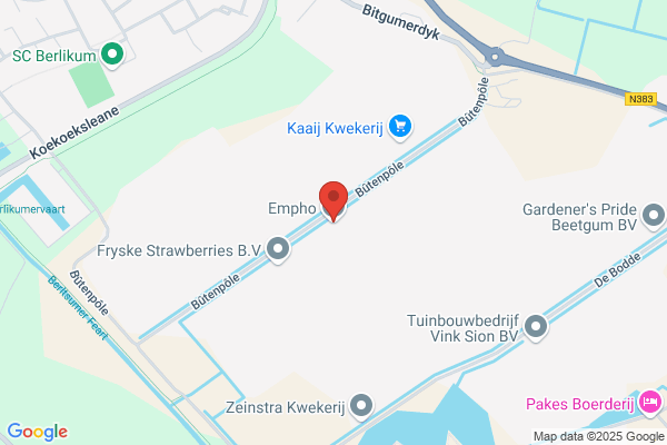 Plant & Tuin Steengoed in Groen