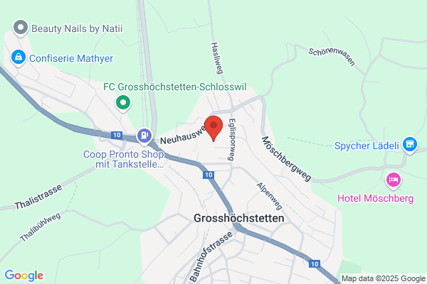 Management Consultant Schenk