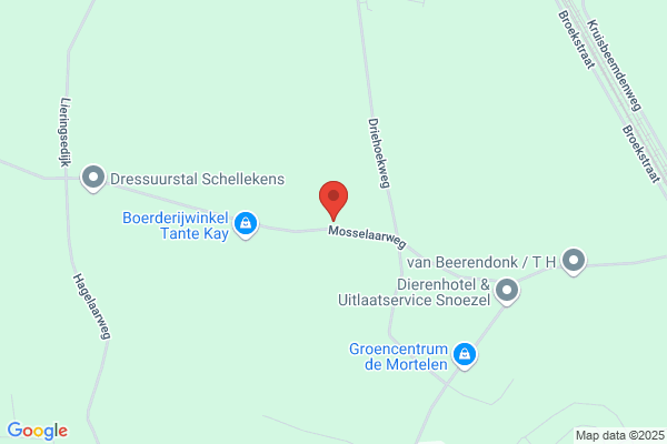Spierings, S A B