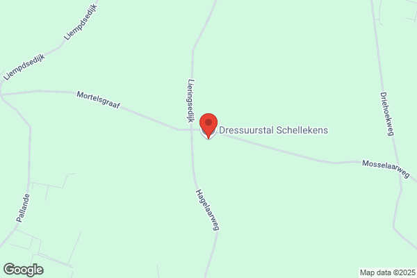 Schellekens