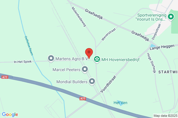 Haaf, Ten
