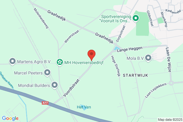 Langerveld, M