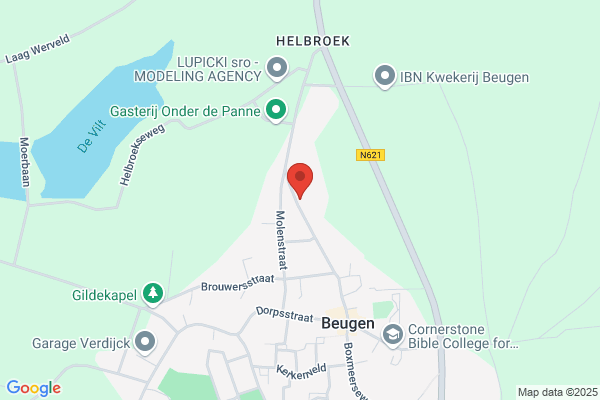 T Ogelijn