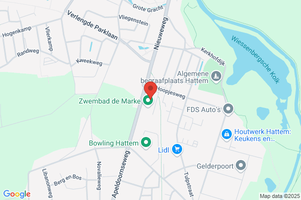 Hattem F M van