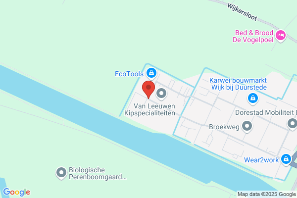 Rooij, W De