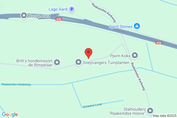 Zonnige Zuiden, Het