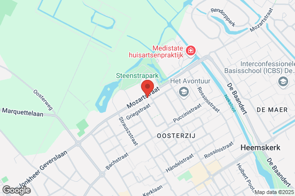 Schilder Heemskerk