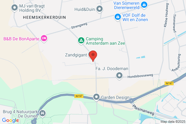 Bloemen En Plantenhandel Van Beek