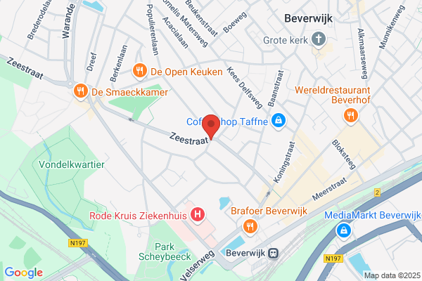 Nedsolv Internetoplossingen Website