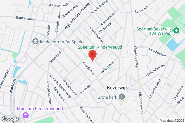 De Loodwijsgeer