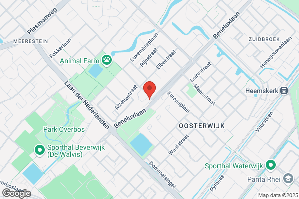 Tropica Regionale Aquarium En Vijver Vereniging