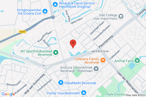 Date, Stichting