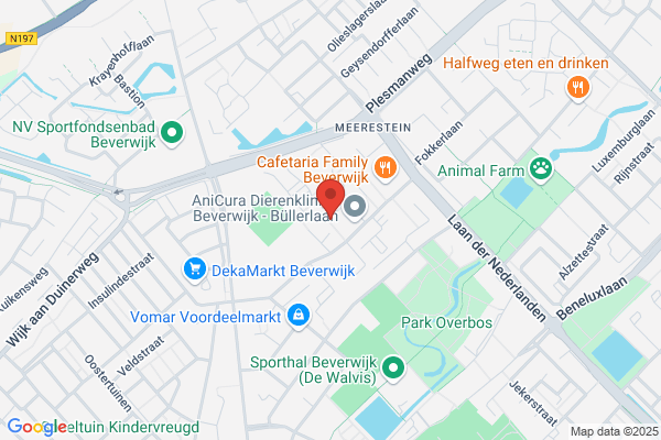 Rijschool Rean