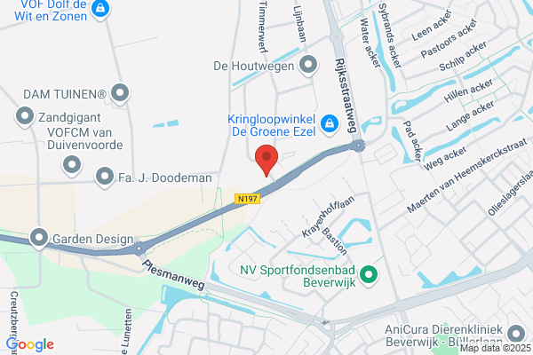 Ster Tapijt En Gordijnen