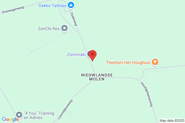 Festijn Vof