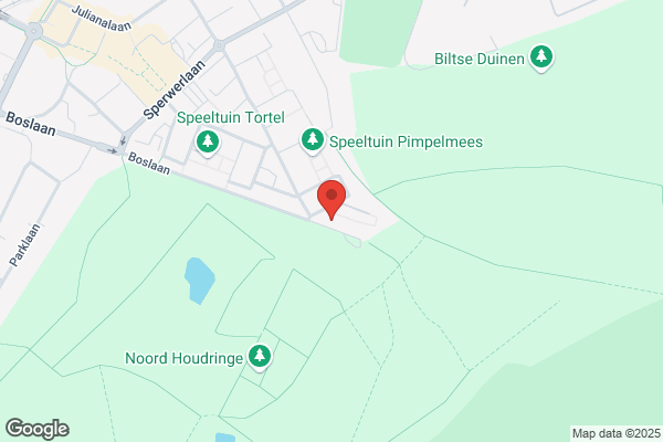 Helsdingen Advies, Van