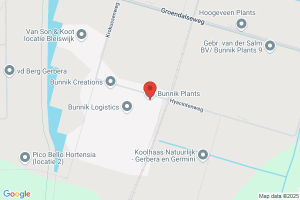 Bunnik
