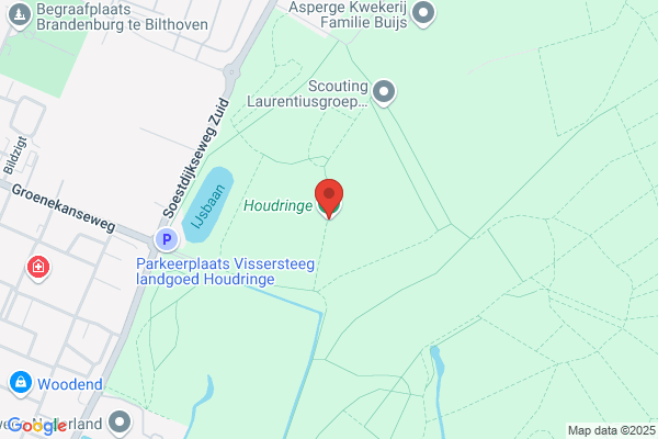 Houdringe