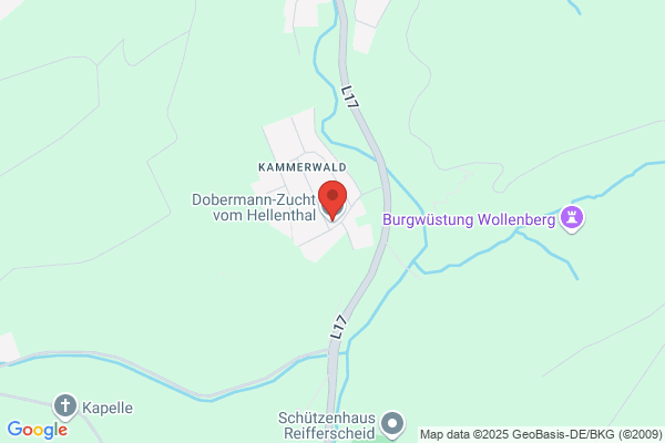 Dobermann's From Dober Castle