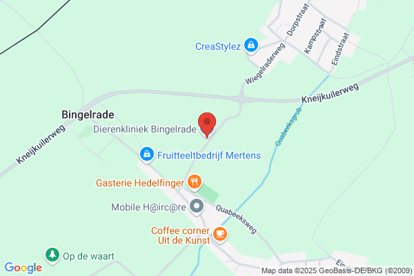 Fokkinga, E