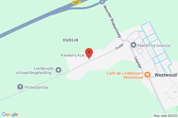 Vof Kok