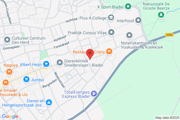 Verstijnen, P J J