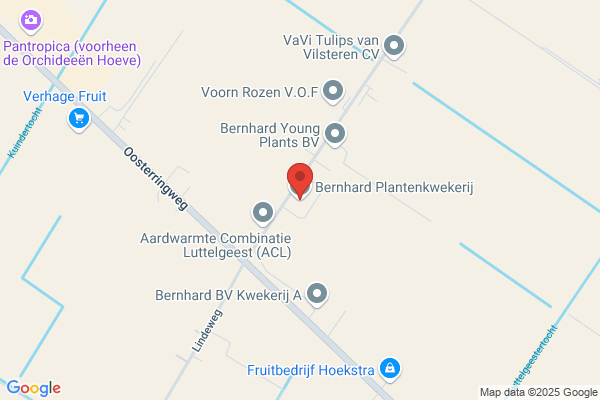Bernhard Plantenkwekerij BV