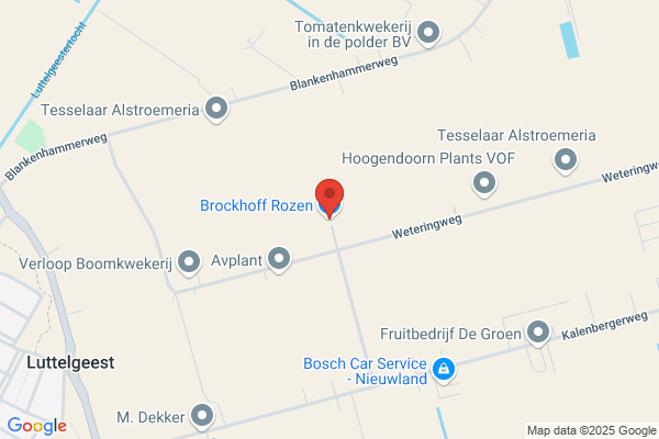 H.J. Brockhoff Bv