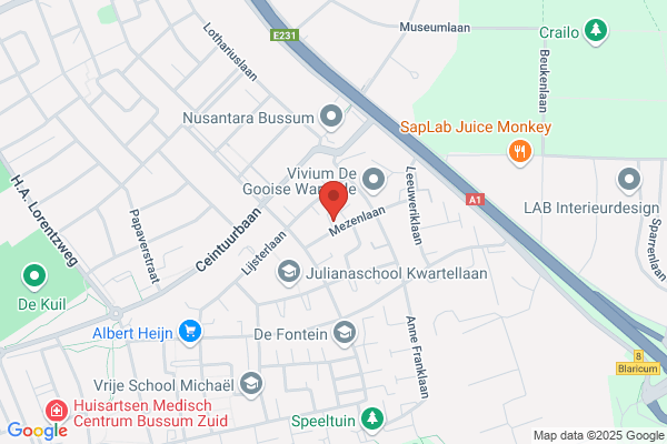 Chiropractie Huizen