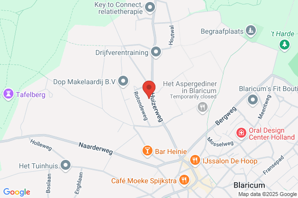 Denist Management Bv
