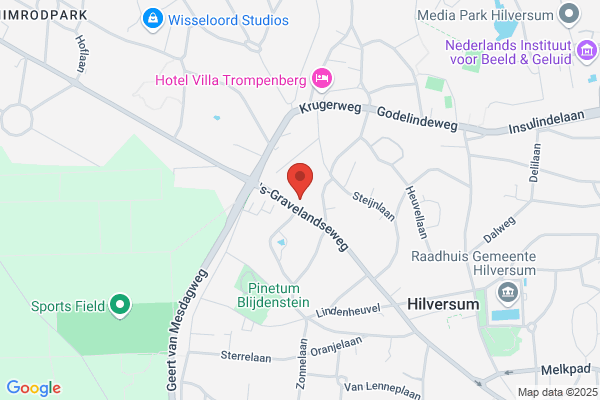 Van Tonningen Consultancy Bv
