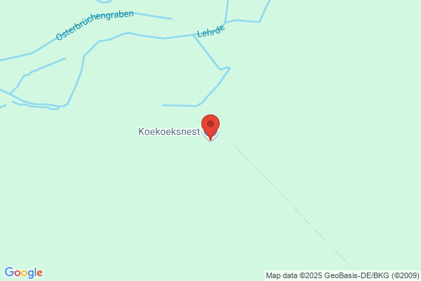Koekoeksnest, Het