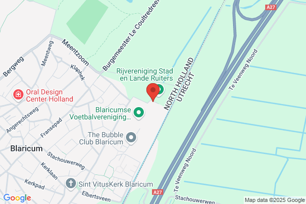 Jong Strankinga Ronk, De