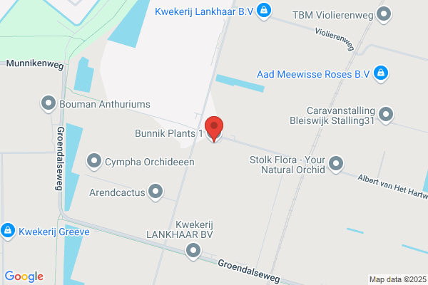 Bunnik Plants Bv