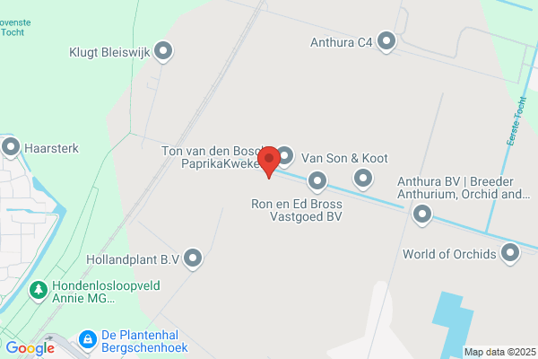 J. Breugem En Zn Bv