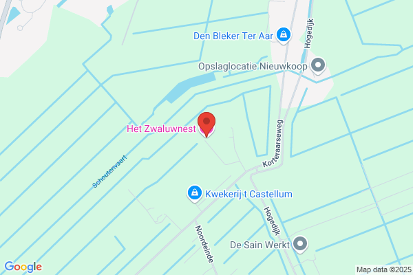 Zwaluwnest, Het