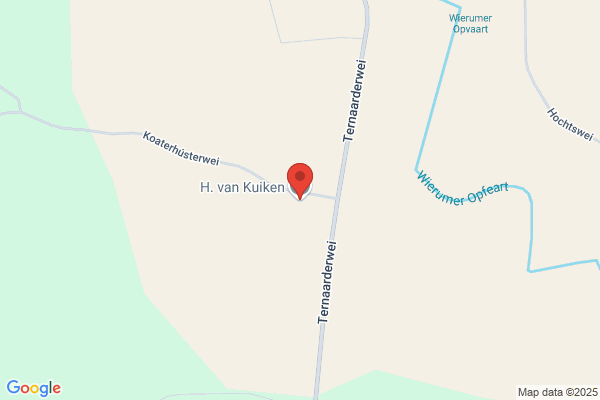 Kuiken