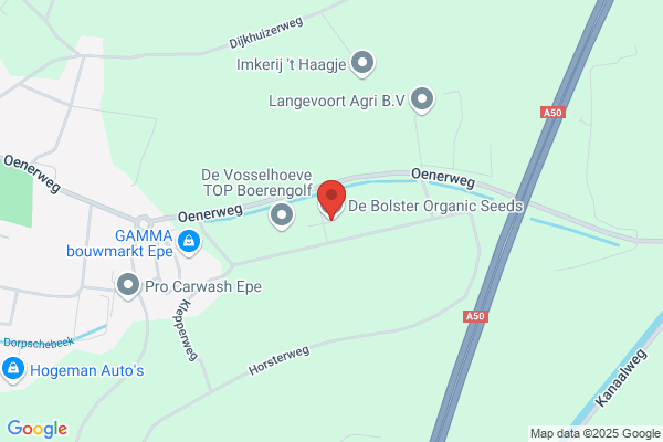 De Bolster
