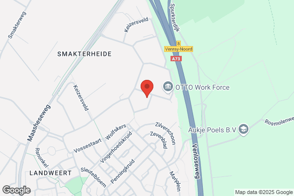 Verkoijen, Martien