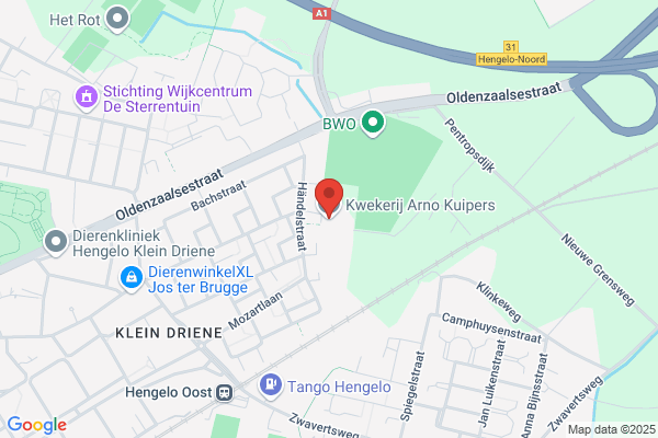 Kwekerij G. Kuiper Bv