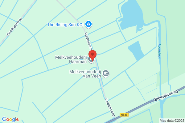 Jolande Kapsalon