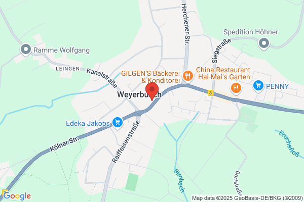 Steinbusch-Willems, H H G